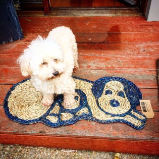 Vegan Friendly Seagrass Dog with Puppy Mat