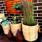 Vegan Friendly Seagrass Cylinder Seagrass Baskets in a Set of 3
