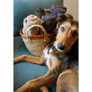 "NEW" Vegan Friendly Large Round Seagrass Baskets Set of 4