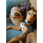 "NEW" Vegan Friendly Large Round Seagrass Baskets Set of 4